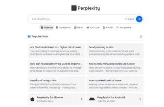 Perplexity